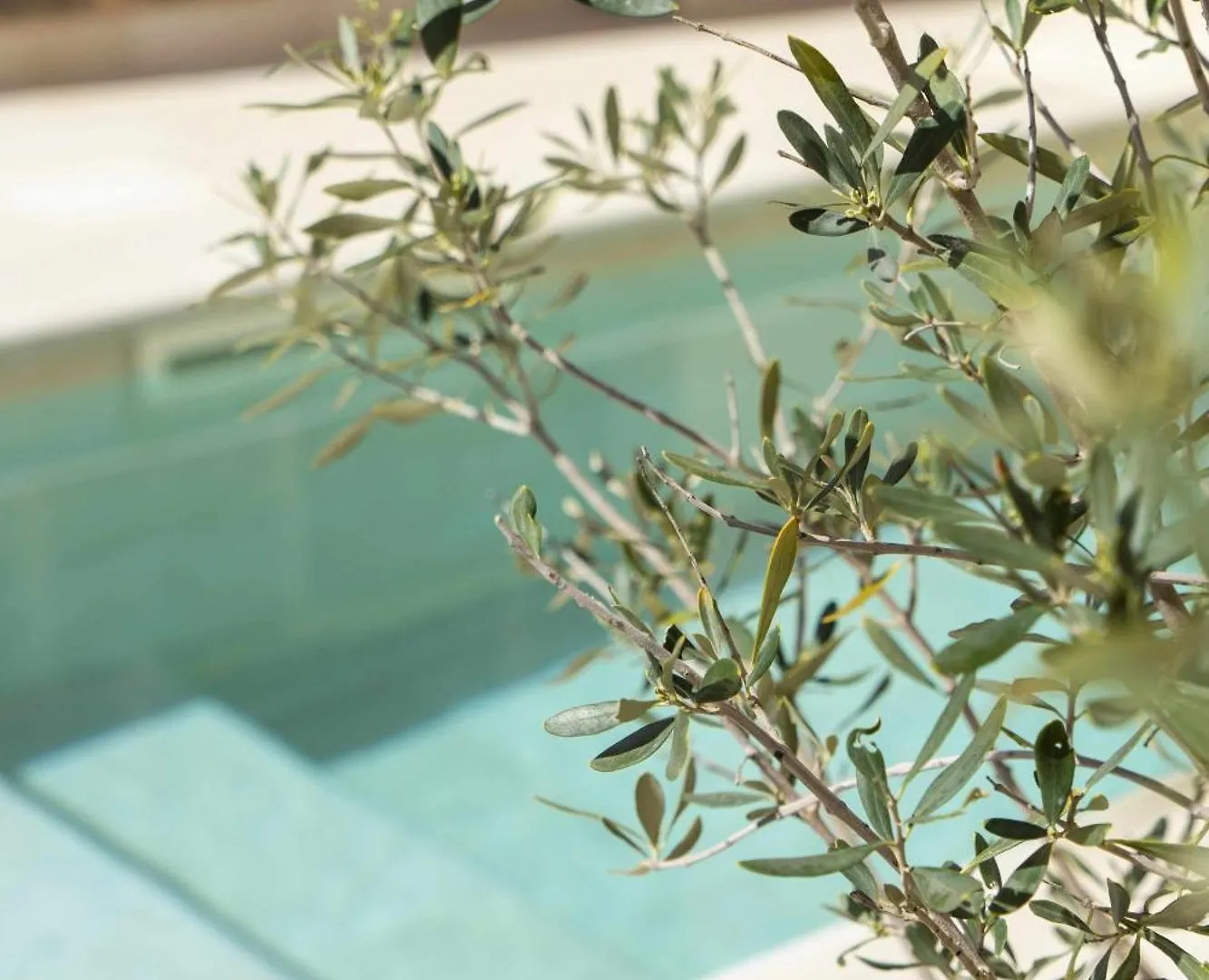 Bed & Breakfast Atrium Suites Mallorca Porreres Spain